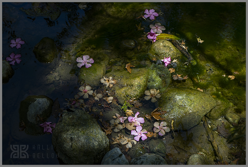 � Kalli Bellou / www.kallibellou.com